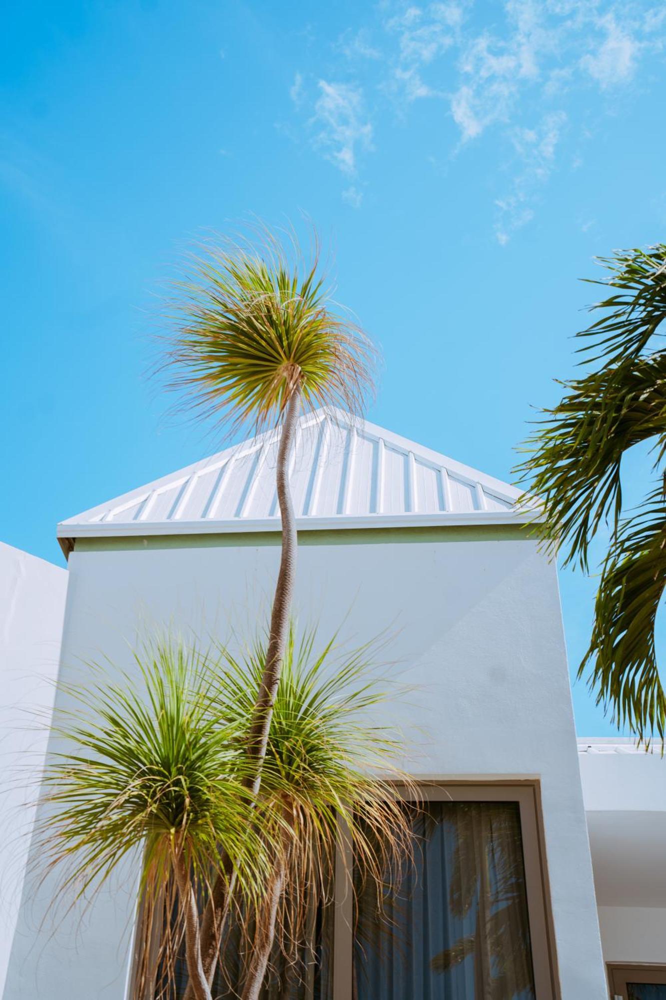 The Mill Resort And Suites Palm Beach ภายนอก รูปภาพ